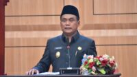Dok/Istimewa