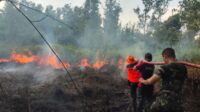 IMG-20230605-WA0041_1