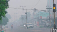 Kabut-Lamandau