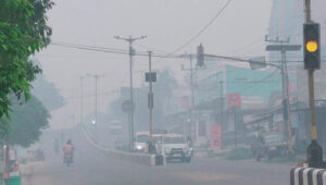 Kabut-Lamandau