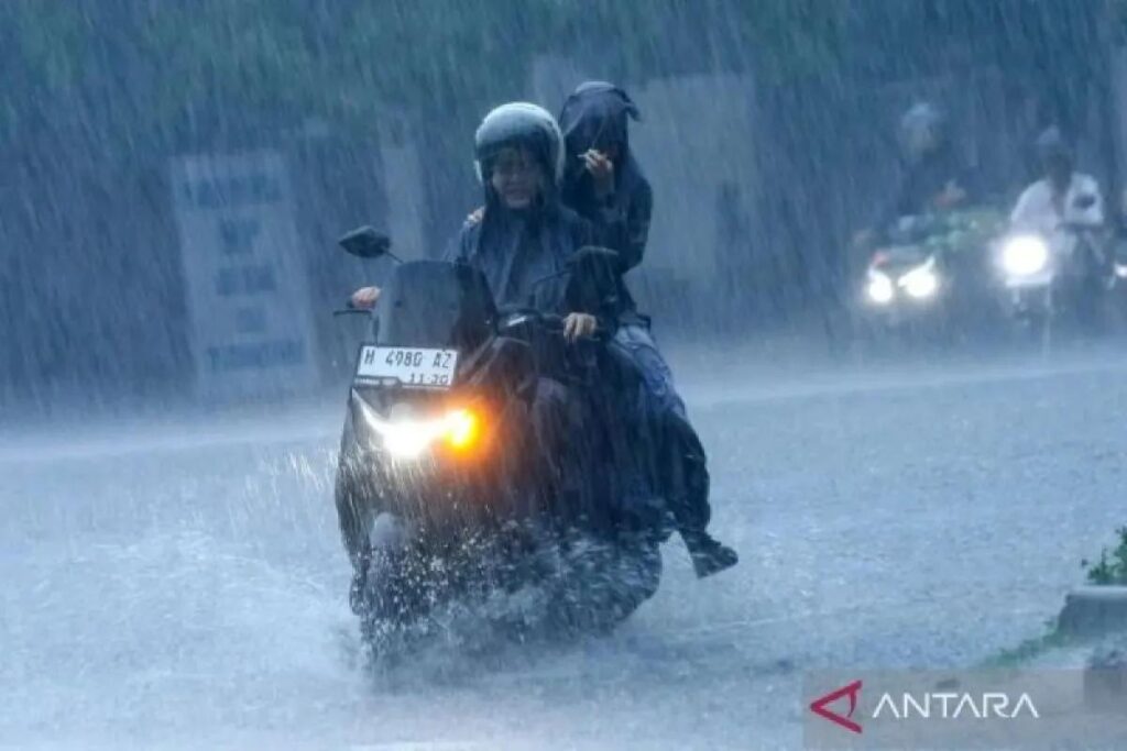 WhatsApp Image 2026-10-27 at 1.33.13 PM