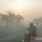 DPR Soroti 20 Korporasi Tersangka Karhutla, Empat Perusahaan Asing Ikut Terjerat