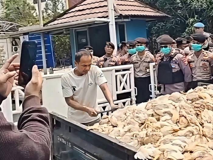 pendemo-membawa-ribuan-bangkai-ayam-di-depan-kantor-pln-palangka-raya-dok-istimewa-1793366565084_43